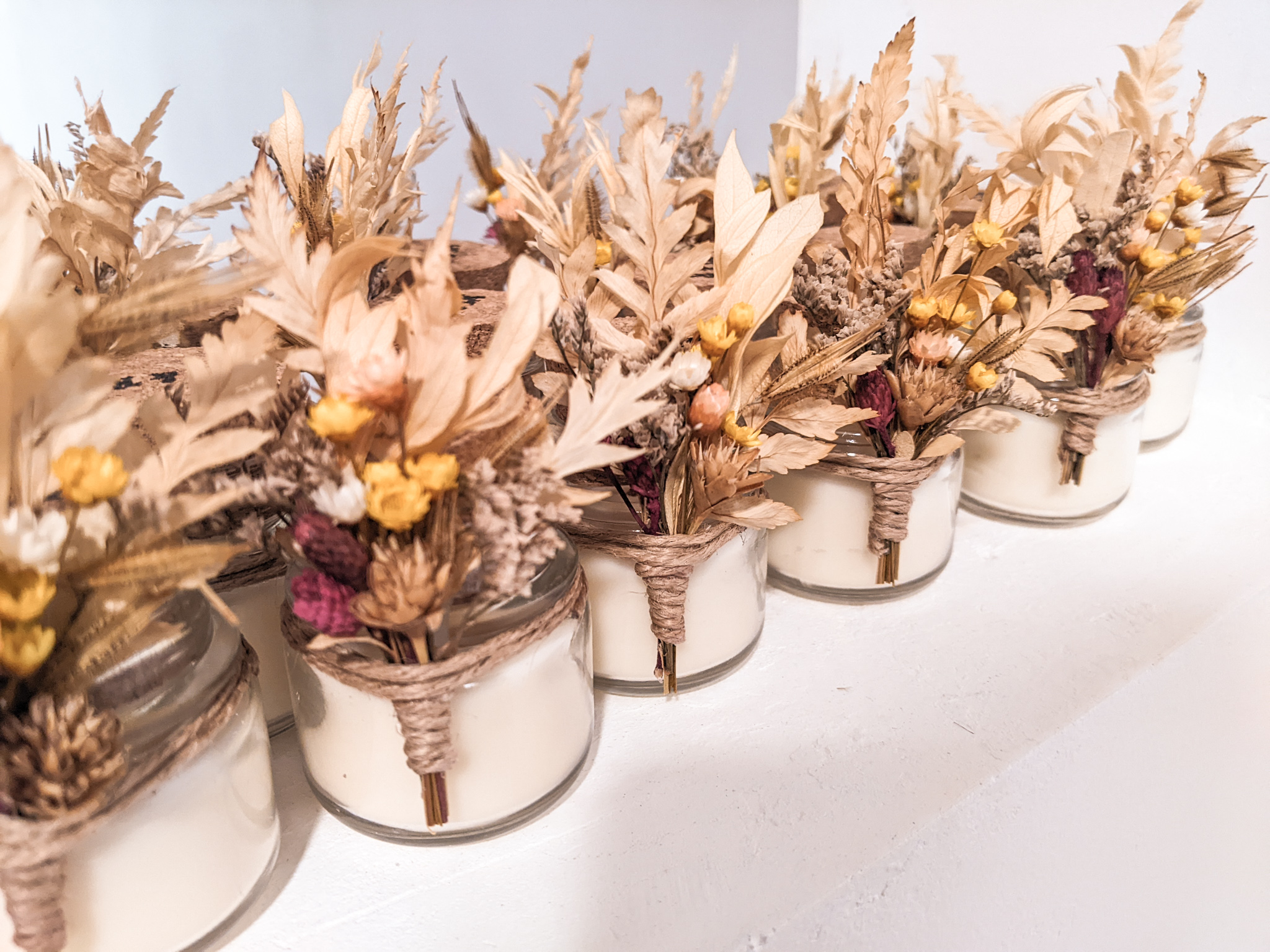 PXL_20230309_123245242 (1)